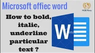 How to do bold , italic and underline particular text