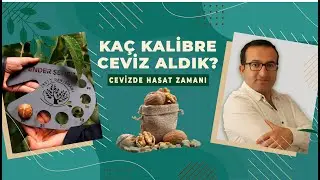 2021 HEDEFİ - BAŞARDIKLARIMIZ - UYGULAMALARIMIZ | PROFESYONEL CEVİZ YETİŞTİRİCİLİĞİ