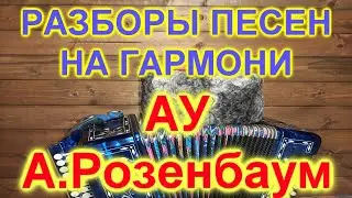 РАЗБОРЫ ПОД ГАРМОНЬ! АУ! Александр Розенбаум!