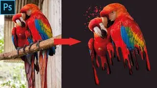 How To Create Dripping Effect Or Splatter Effect In Photoshop In Best Way