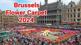 Behind The Scenes: Crafting the Stunning 2024 Brussels Flower Carpet