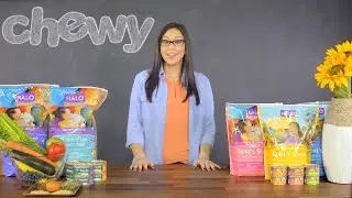 Halo Cat Food | Chewy