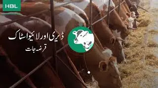 HBL Zarai Banking