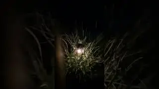 Solarleuchten für den Garten im Test