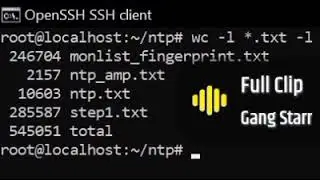 Botnets are for skids it's not hard bozo