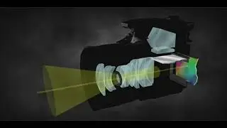 CARA KERJA KAMERA #fotografi #fotografipemula #materikuliah #kuliahsingkat #video #materifotografi