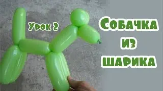 Урок 2. Собачка из шарика (как сделать своими руками)
