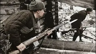 SVT 40 FIREARM COMPILATION