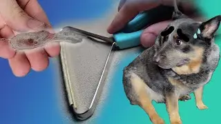 Reusable Fabric Scraper that Works for Pet Hair, Lint, and Fuzz!
