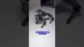 Micro:bit XGO Robot Kit V2  