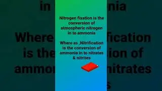 Difference b/w NITROGEN FIXATION & NITRIFICATION #csirnetlifescience #youtubeshorts #biology#neetug