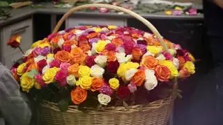 Композиция из 301 эквадорской розы в корзине