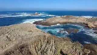 17 miles drive _Популярный автомобильный маршрут, один из самых красивых в Калифорнии