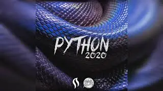 Spinus - Python 2020