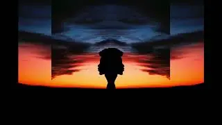 Papillon - Aceso