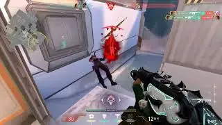 fake phoenix main