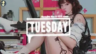 [Tuesday] Remix by Nurselim Boy/明洋 Trending EDM Music on TikTok 抖音热门电音 听完耳朵怀孕啦