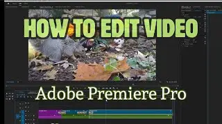 How to edit video with Adobe Premiere Pro | Video editing tutorial in Adobe Premiere Pro