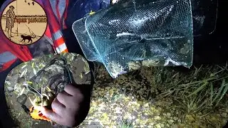 I CATCH FISH AND CRAYFISH AT NIGHT WITH A NET ON THE RIVER.