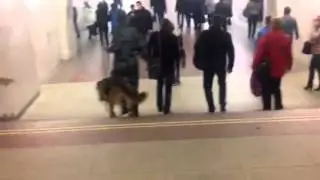 где-то в метро...