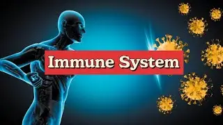 Understanding the Immune System in One video #immunology #immune_system