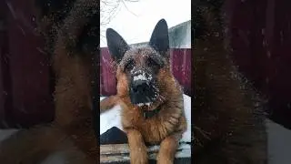 Обалдеть какая красота 🥰 