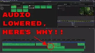 Why is my audio automatically lowered in imovie? | Fixed