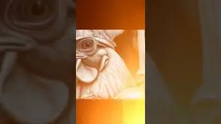 🐔Чикены сила!😈 