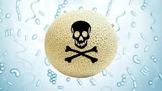 I Watched Poisoned: The Dirty Truth About Your Food