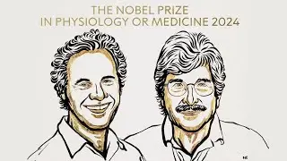 Leçon sur la découverte des microARN pour la régulation des ARNm codant, Prix Nobel de médecine 2024