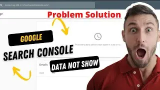 Website data is not showing in google search console| Processing data, please check again in a day