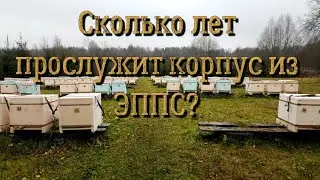 Срок службы улья из ЭППС.