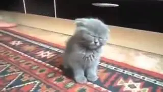 Как же хочется спать! 2