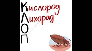 Принципы выживания в Ковид - 