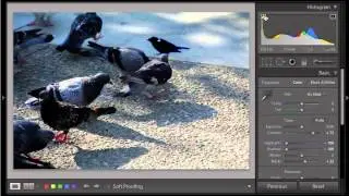 Erika Gentry Education: LR 4.0: Basic Panel: Tone and Presence
