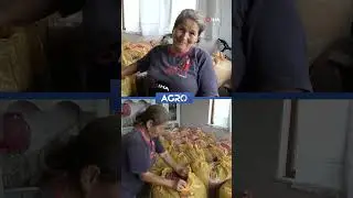 Sacks of Hazelnuts in Home Storage! Producer Announces Prices 