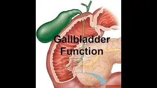 Gallbladder