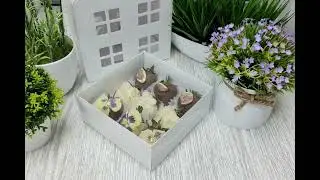 Коробка белая для клубники в шоколаде