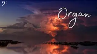 Organ Music | Johann Sebastian Bach
