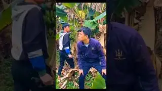 चमन केला काट 😂 ~ mini wood toy-woodworking art skill / hand Crafts / #shorts #trending #viral