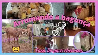 Arrumando a bagunça/limpando e organizando a casa 🏡 fiz bolinho de chuva 😋#vlog