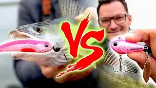 Lieblingsköder vs. SpinMad beim ZANDERANGELN 😱