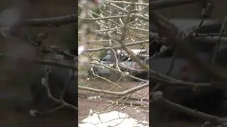 Доехать до берега. Уаз 😉