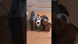 Лучшая реклама обогревателя