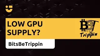 NiceTalk + BitsBeTrippin: Low GPU supply?