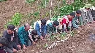 ua siab hbov qab 10/9/2024