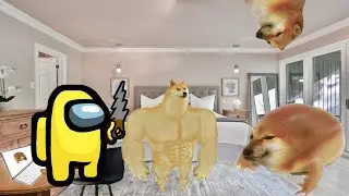Cheems Trolls With Doge || Doge Meme || Cheems Meme || Best Meme Edition 2021
