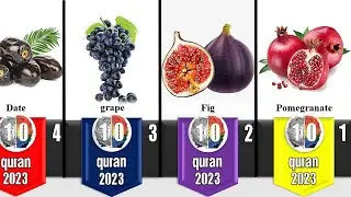 Top 10 fruits and food in islam [2023]