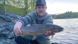 Storørret fiske i Rendalen