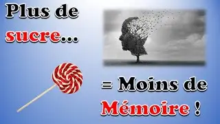 Plus de sucre = Moins de mémoire